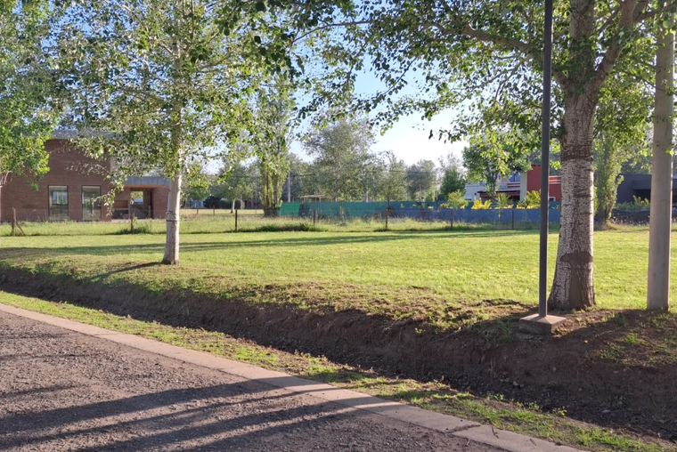 Pinares del Sur