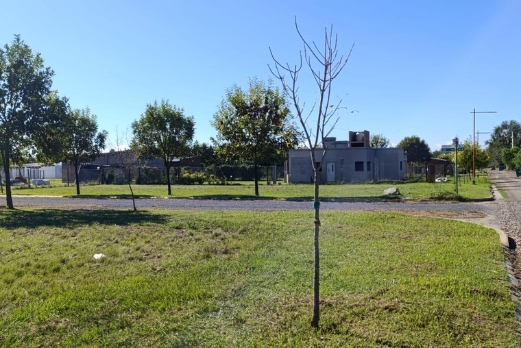 TERRENO DE 609M2 VENTA ANFITEATRO Y ESPACIOS VERDES ANDINO