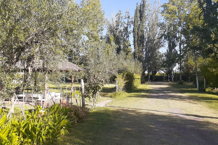 SE VENDE FINCA EN VILLA SECA, MAIPÚ, MENDOZA.