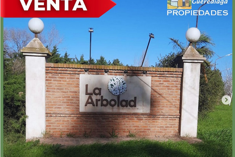 ALVAREZ LOTE