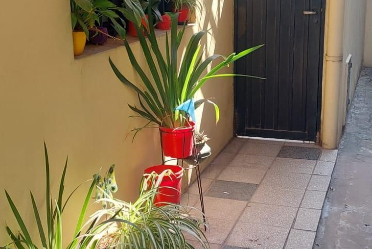 Virasoro 2800. (2 dormitorios). Planta alta. Amoblado.