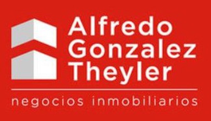 ALFREDO GONZALEZ THEYLER