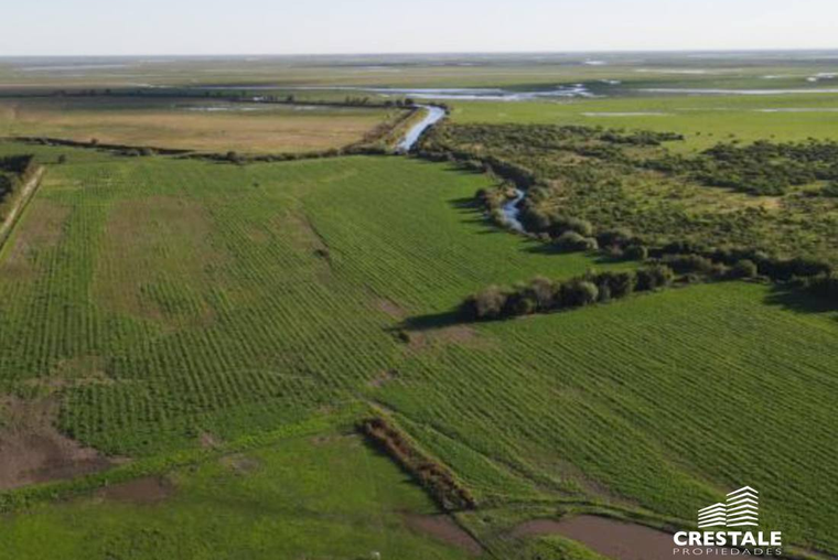 Campo en venta, Victoria - Entre Ríos