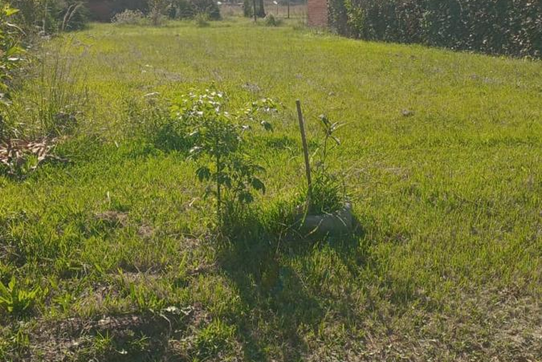 Terreno en venta Pueblo Esther!!!