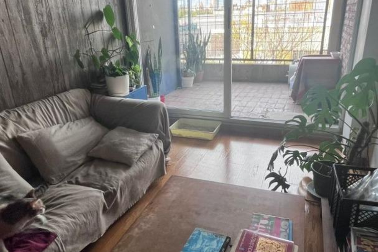 Hermoso monoambiente de diseño, dividido.
