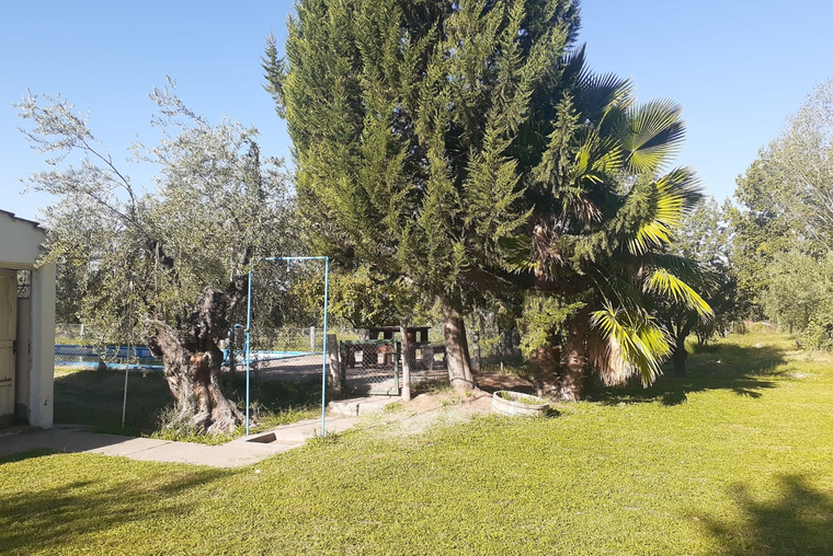 SE VENDE HERMOSA FINCA EN MAIPÚ, MENDOZA