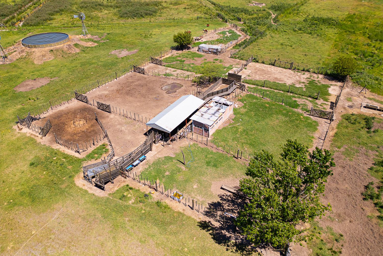 CAMPO FEEDLOT VENTA DIVERSOS USOS COMERCIALES PUEBLO MUÑOZ