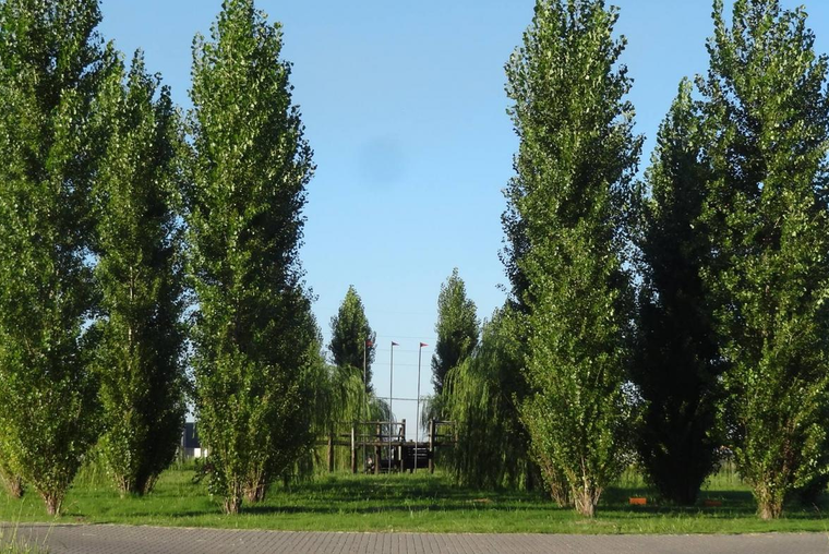 Terreno en venta - Roldan Las Tardes