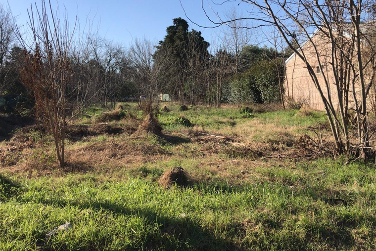 Terreno en  Venta en San Eduardo ,  1032 m2 , orientado Sur 